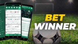 Betwinner-4.jpg